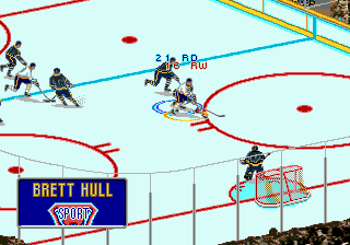 Brett Hull Hockey 
